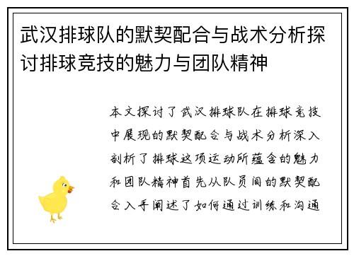 武汉排球队的默契配合与战术分析探讨排球竞技的魅力与团队精神